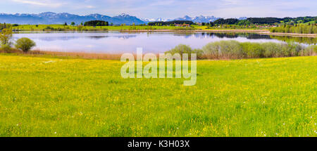 Panorama Landschaft in Bayern in der Nähe Blick über die haslacher See auf dem alpinen Bereich schließen mountain Säuling, der Hausberg der Stadt Füssen. Stockfoto