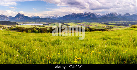 Panorama Landschaft in Bayern in der Nähe Blick über den Hopfensee im alpinen Bereich schließen mountain Säuling, der Hausberg der Stadt Füssen. Stockfoto