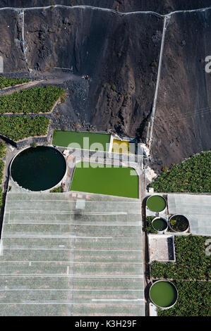 Bananenplantagen in der Nähe Bewässerungsanlagen, Puerto Naos, Insel La Palma, Kanaren Insel, Luftbild, Spanien Stockfoto