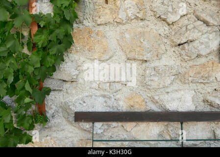 Weinstock kriecht auf einer Wand eines Hauses aus Naturstein, Biergarten Sitz, Stockfoto