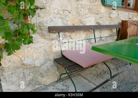 Weinstock kriecht auf einer Wand eines Hauses, Biergarten, Sitzkissen Fahrersitz Stockfoto