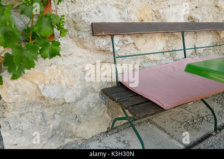 Weinstock kriecht auf einer Wand eines Hauses, Biergarten, Sitzkissen Fahrersitz Stockfoto