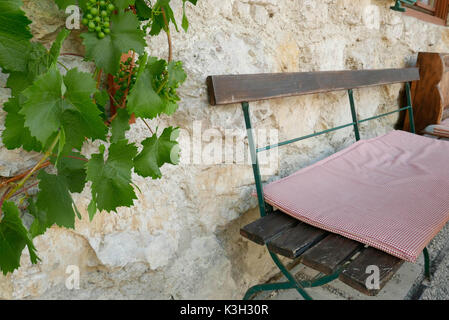 Weinstock kriecht auf einer Wand eines Hauses, Biergarten, Sitzkissen Fahrersitz Stockfoto