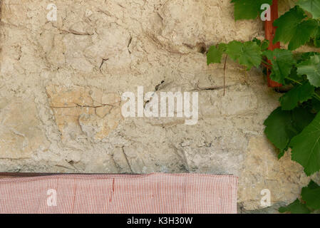 Weinstock kriecht auf einer Wand eines Hauses, Sitz, Sitzkissen Stockfoto