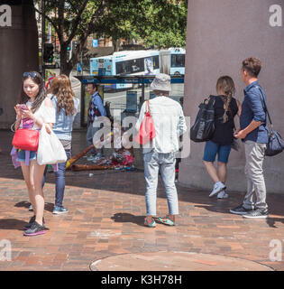 SYDNEY, NSW, Australien - NOVEMBER 20,2016: Aborigines street artist mit weißem Lack Body Verschönerung mit Didgeridoo in Sydney, Australien Stockfoto