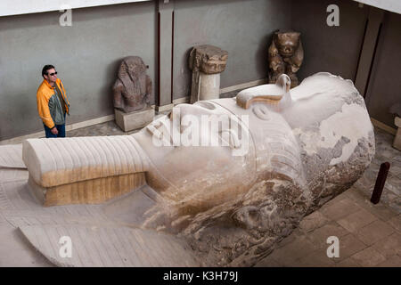 Koloss von Ramses II. in Memphis Museum Stockfoto