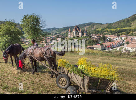 Rumänien, Sibiu County, Birthälm Stadt, Kirchenburg von Birthälm, UNESCO-Weltkulturerbe, Stockfoto