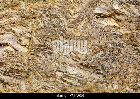 Nahaufnahme auf Franziskanische Hornsteine in den Marin Headlands - Geologie Hintergrund oder Hintergrund Stockfoto