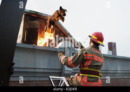 Firehouse Dog Für weitere Informationen wenden Sie sich bitte an Ihren lokalen Twentieth Century Fox Pressestelle. FIREHOUSE DOG Datum: 2007 Stockfoto