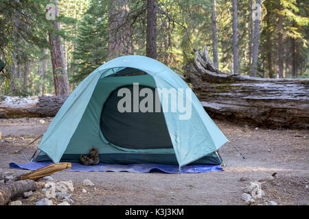 Selektiver Fokus auf grüne Zelt in Campground unter Pinien am Lassen Volcanic National Park, Kalifornien, USA, mit ein paar Sandalen auf der Außenseite. Stockfoto