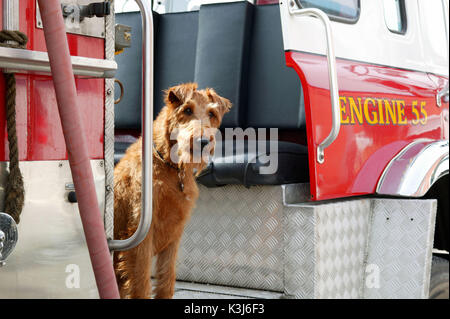 Firehouse Dog Für weitere Informationen wenden Sie sich bitte an Ihren lokalen Twentieth Century Fox Pressestelle. FIREHOUSE DOG Datum: 2007 Stockfoto