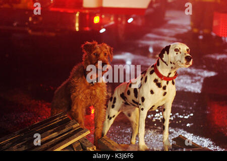 Firehouse Dog Für weitere Informationen wenden Sie sich bitte an Ihren lokalen Twentieth Century Fox Pressestelle. FIREHOUSE DOG Datum: 2007 Stockfoto