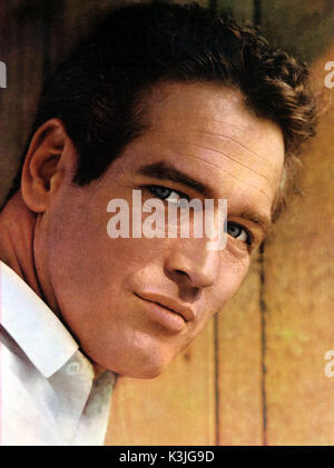 PAUL NEWMAN US-amerikanischer Schauspieler Stockfoto