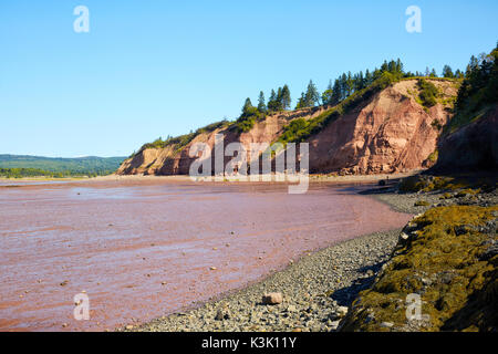 Klippen bei fünf Inseln Provincial Park, Bucht von Fundy, Nova Scotia, Kanada Stockfoto