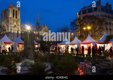 Weihnachtsmarkt am Platz René Viviani entlang der Ufer der Seine zwischen der Kathedrale von Notre Dame in Paris Frankreich Stockfoto