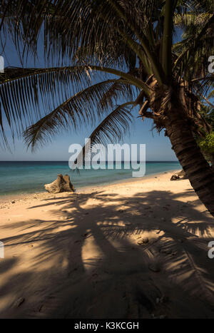 Schatten der Kokospalmen in der berühmten Sumurtiga Strand auf der gemütlichen Insel Pulau Weh in der Nähe von Sumatra. Im Hintergrund ein Vulkangestein und das Meer. Stockfoto