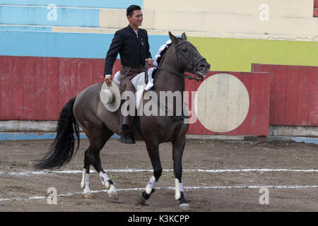 Toreador auf dem Pferderücken in Ecuador Stockfoto