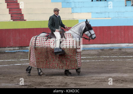 Picador auf dem Pferderücken in Ecuador Stockfoto