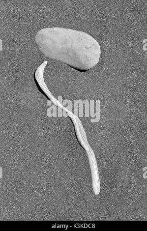 Zufällige abstrakten Array einer Stein- und Treibholz, an einem der Strände mit schwarzem Sand in Neuseeland. Stockfoto