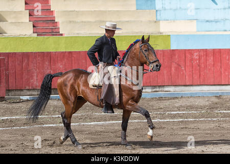 Toreador auf dem Pferderücken in Ecuador Stockfoto