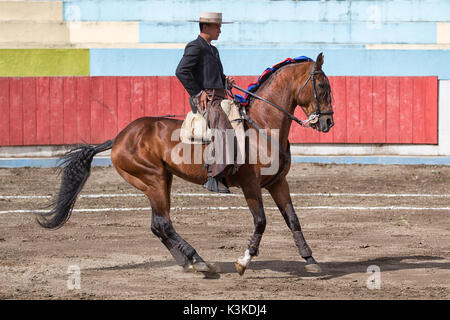 Toreador auf dem Pferderücken in Ecuador Stockfoto