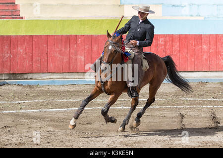 Toreador zu Pferd in der Arena in Ecuador Stockfoto