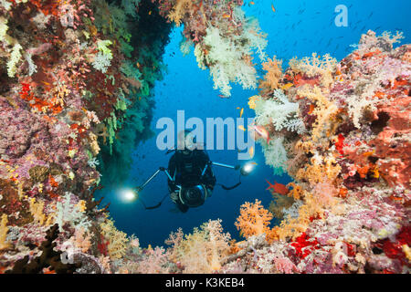 Taucher am Korallenriff, Felidhu Atoll, Malediven Stockfoto