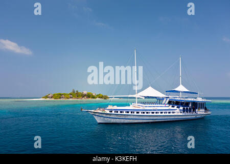 Tauchsafari Hammerhead 2, Süd Male Atoll, Malediven Stockfoto