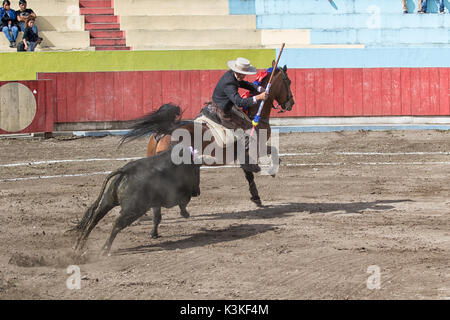 Toreador zu Pferd in der Arena in Ecuador Stockfoto