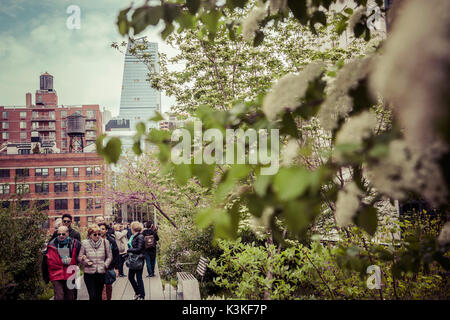 Die High Line ist ein öffentlicher Park auf einem historischen Freight rail line gebaut erhöht über der Straße in die West Side von Manhattan. Chelsea, Art District, Touristenattraktion und Leben Linie von New York, Manhattan, USA Stockfoto