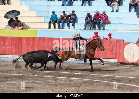 Juni 18, 2017, Pujili, Ecuador: Stierkämpfer zu Pferd wird immer ein Stier in der Arena gejagt Stockfoto