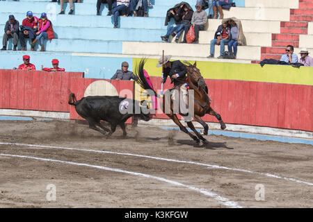 Juni 18, 2017, Pujili, Ecuador: Stierkämpfer zu Pferd wird immer ein Stier in der Arena gejagt Stockfoto