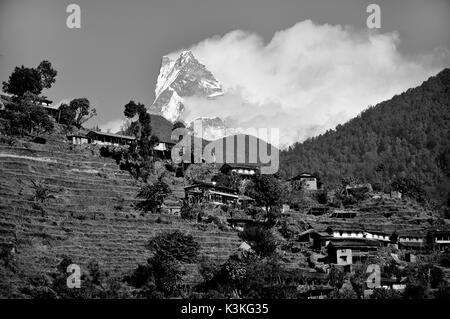 Matschaputschare 6993 m, Nepal. Dieser Gipfel ist eine der spektakulärsten der Welt und mit dem Namen "Fish Tail" bekannt wegen seiner charakteristischen Form. Steigt in den Himmel und mit Blick auf das Tal in der Umgebung von Pokhara Stockfoto