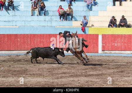 Juni 18, 2017, Pujili, Ecuador: ein stierkämpfer Reiter sein Pferd in der arena Neigung zu der Stier Stockfoto