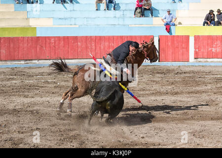 Juni 18, 2017, Pujili, Ecuador: ein stierkämpfer Reiter sein Pferd in der arena Neigung zu der Stier Stockfoto