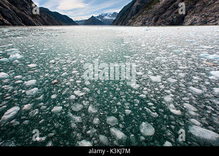 Eisschollen schwimmen in eine Flut Wasser Glacier Bay im südlichen Alaska, Seward Fjorde. Stockfoto