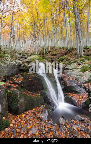 Dardagna Wasserfälle im Herbst, Corno alle Scale Regional Park, Lizzano in Belvedere, Emilia Romagna, Italien. Stockfoto