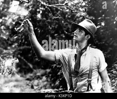 Picknick am HANGING ROCK John JARRATT Stockfoto