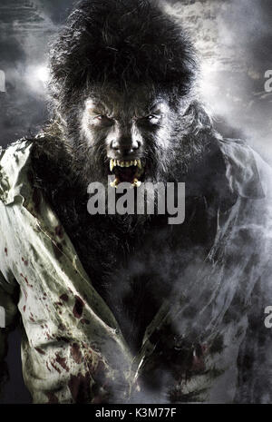 Die WOLFMAN BENICIO DEL TORO Die WOLFMAN Datum: 2010 Stockfoto