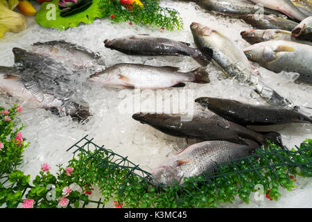 Fisch auf Eis im Supermarkt Markt Stockfoto