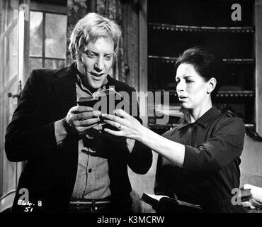 Fanatiker [BR 1965] aka sterben! Sterben! Mein Liebling Donald Sutherland, YOOTHA JOYCE Datum: 1965 Stockfoto