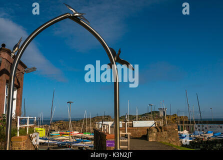 Nahaufnahme von gannett Gateway von Bildhauer Diane Maclean bei Scottish Seabird Centre, North Berwick, Schottland, Großbritannien, die zum Hafen Stockfoto