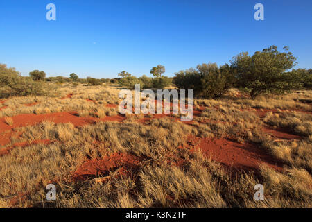 Outback Landschaft in Australien Stockfoto