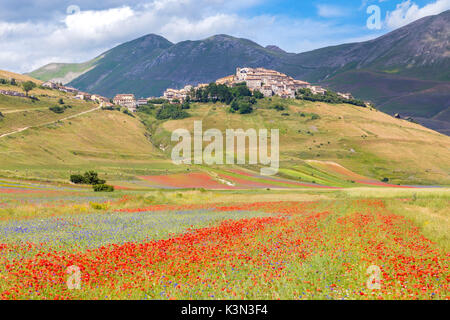 Wellen von Farben unter Castelluccio Stadt und Monti Sibillini, Castelluccio di Norcia, Umbrien, Italien. Stockfoto