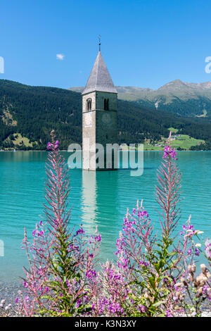 Graun/Graun Vinschgau, Südtirol, Italien. Der Kirchturm im Reschensee Stockfoto