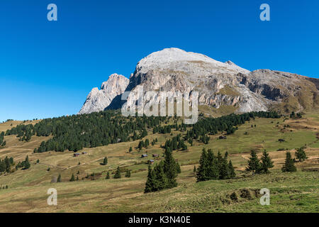 Seiser Alm, Dolomiten, Südtirol, Italien. Blick von der Seiser Alm auf die Gipfel des Langkofel und Plattkofel/Plattkofel Stockfoto