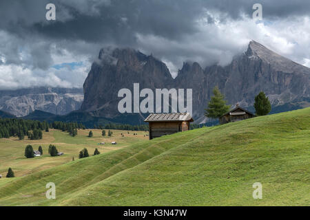 Seiser Alm, Dolomiten, Südtirol, Italien. Blick von der Seiser Alm auf die Gipfel des Langkofel und Plattkofel/Plattkofel Stockfoto