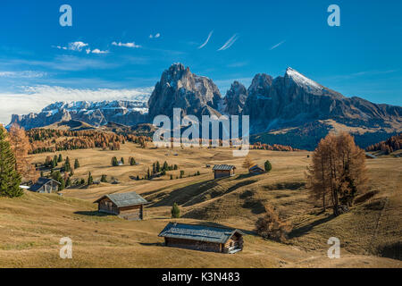 Seiser Alm, Dolomiten, Südtirol, Italien. Herbst auf der Seiser Alm mit dem Gipfel der Sella, Langkofel und Plattkofel/Plattkofel Stockfoto