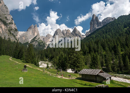 Reifen/Tiers, Dolomiten, Südtirol, Italien. In der Ciamin Tal Stockfoto