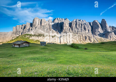 Passo Gardena, Dolomiten, Südtirol, Italien. Die Gipfel der Sella Stockfoto